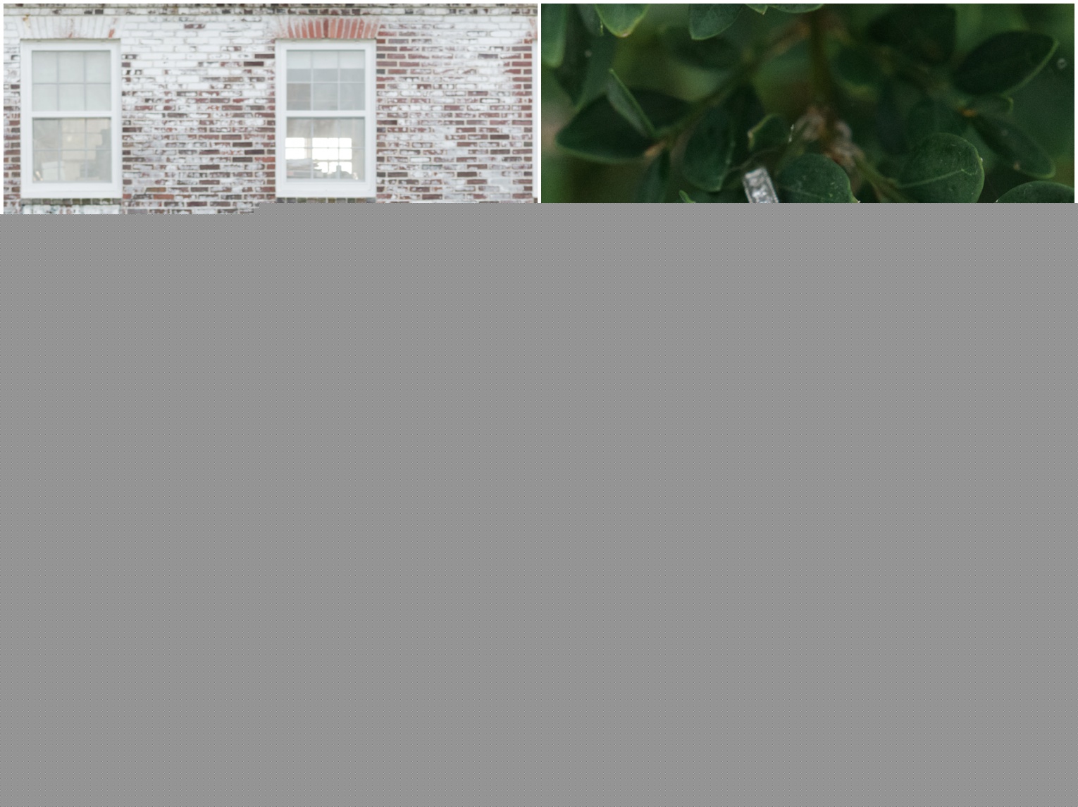 Blandy Farm VA Engagements - Franzi Lee Photography
