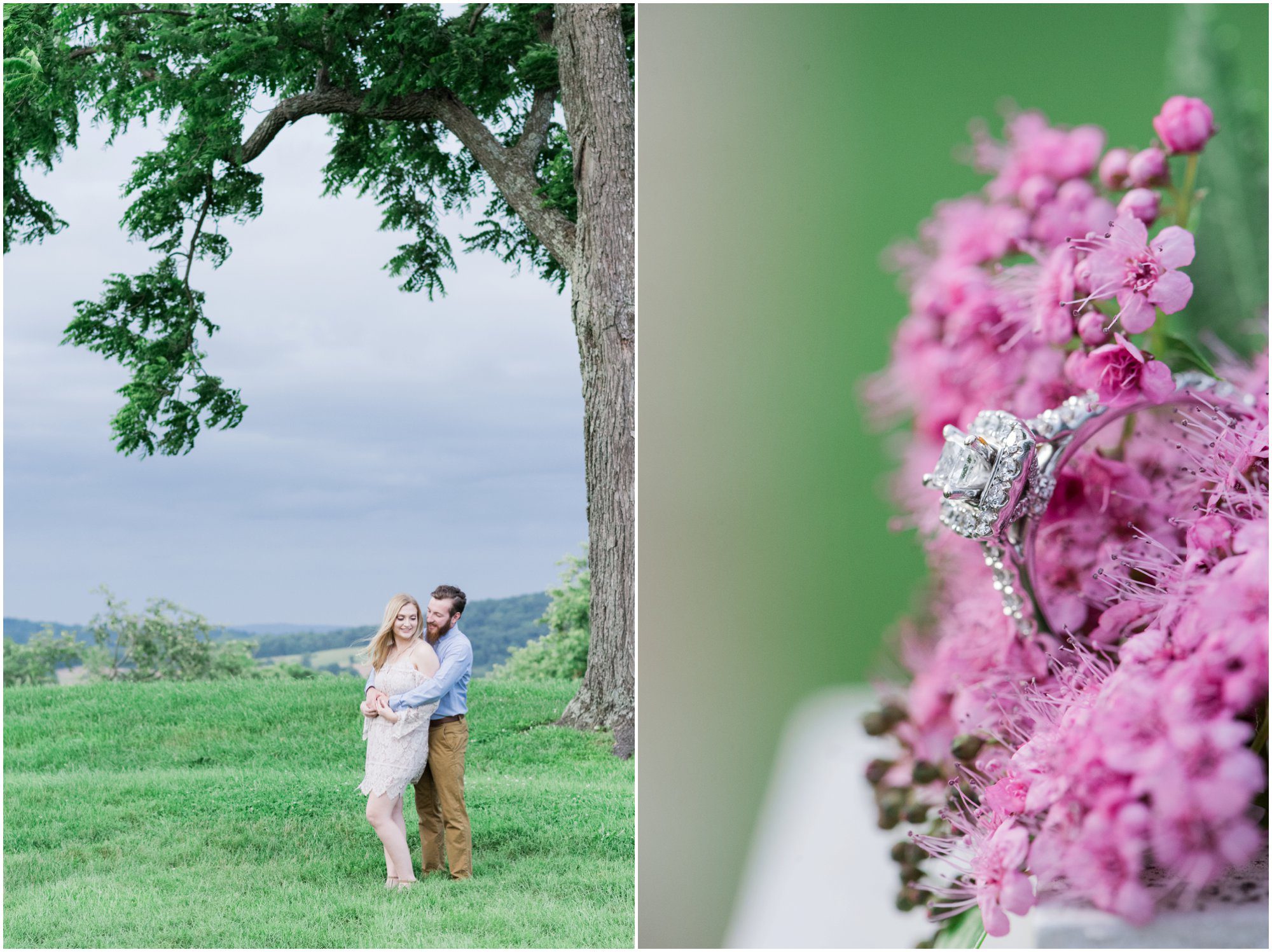 Sky Meadows State Park - Franzi Lee Photography