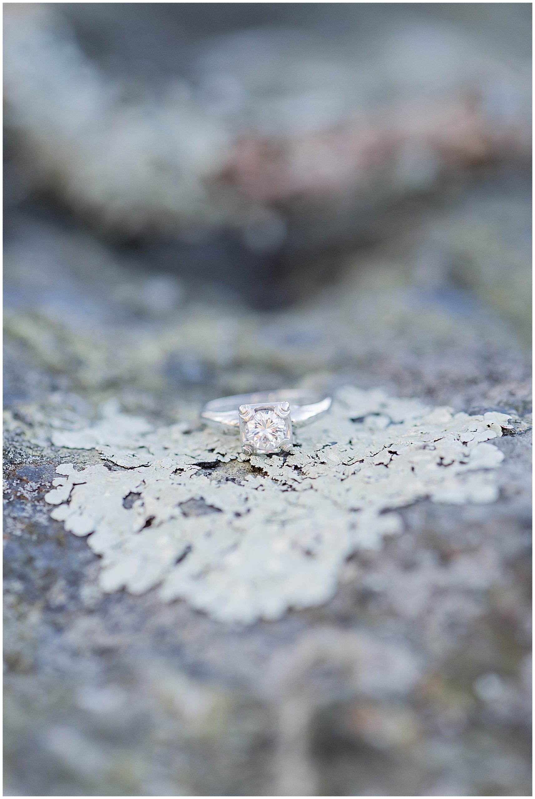 Big Meadows Lodge Skyline Drive Engagement Franzi Lee Photography-0617.jpg