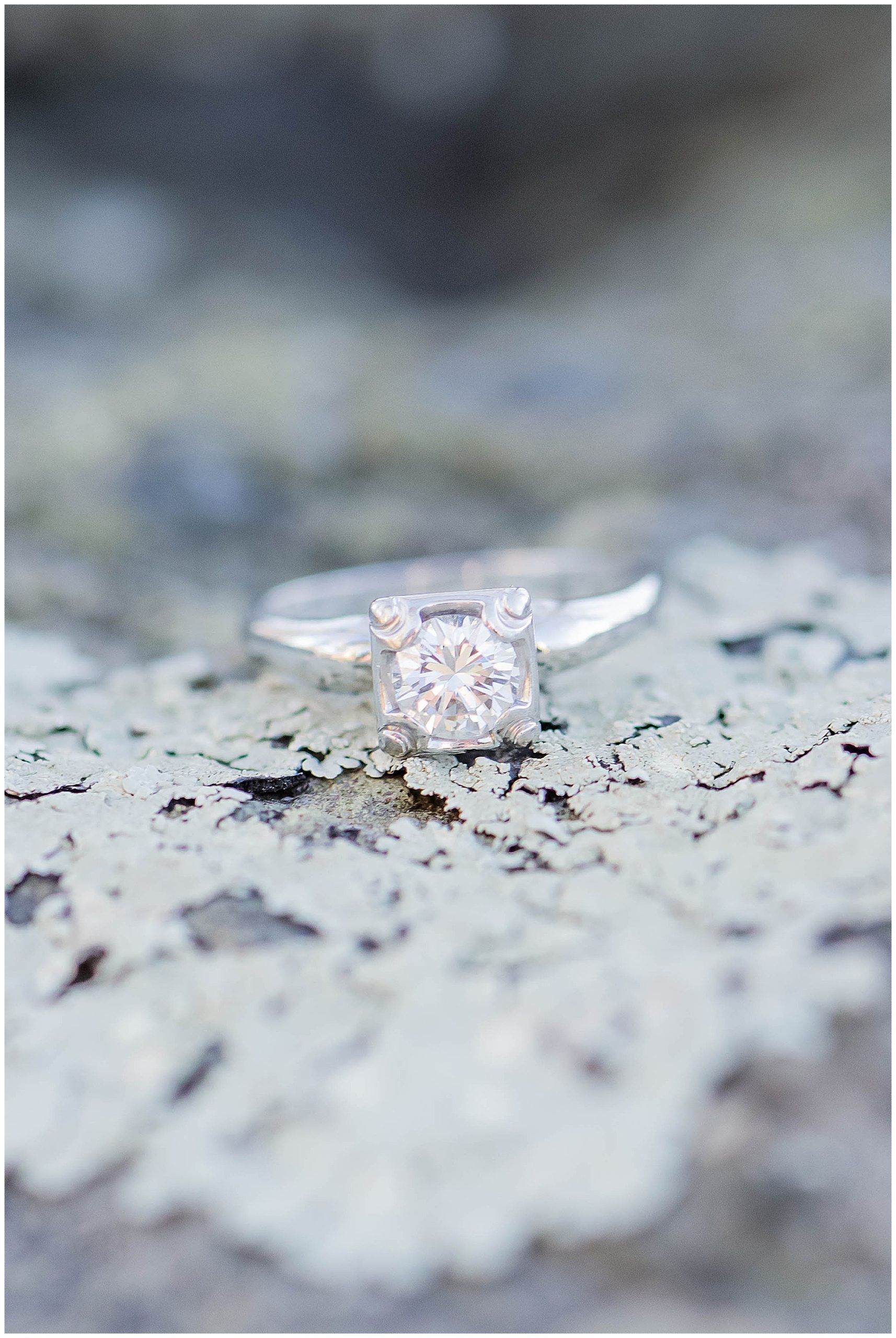 Big Meadows Lodge Skyline Drive Engagement Franzi Lee Photography-0619.jpg