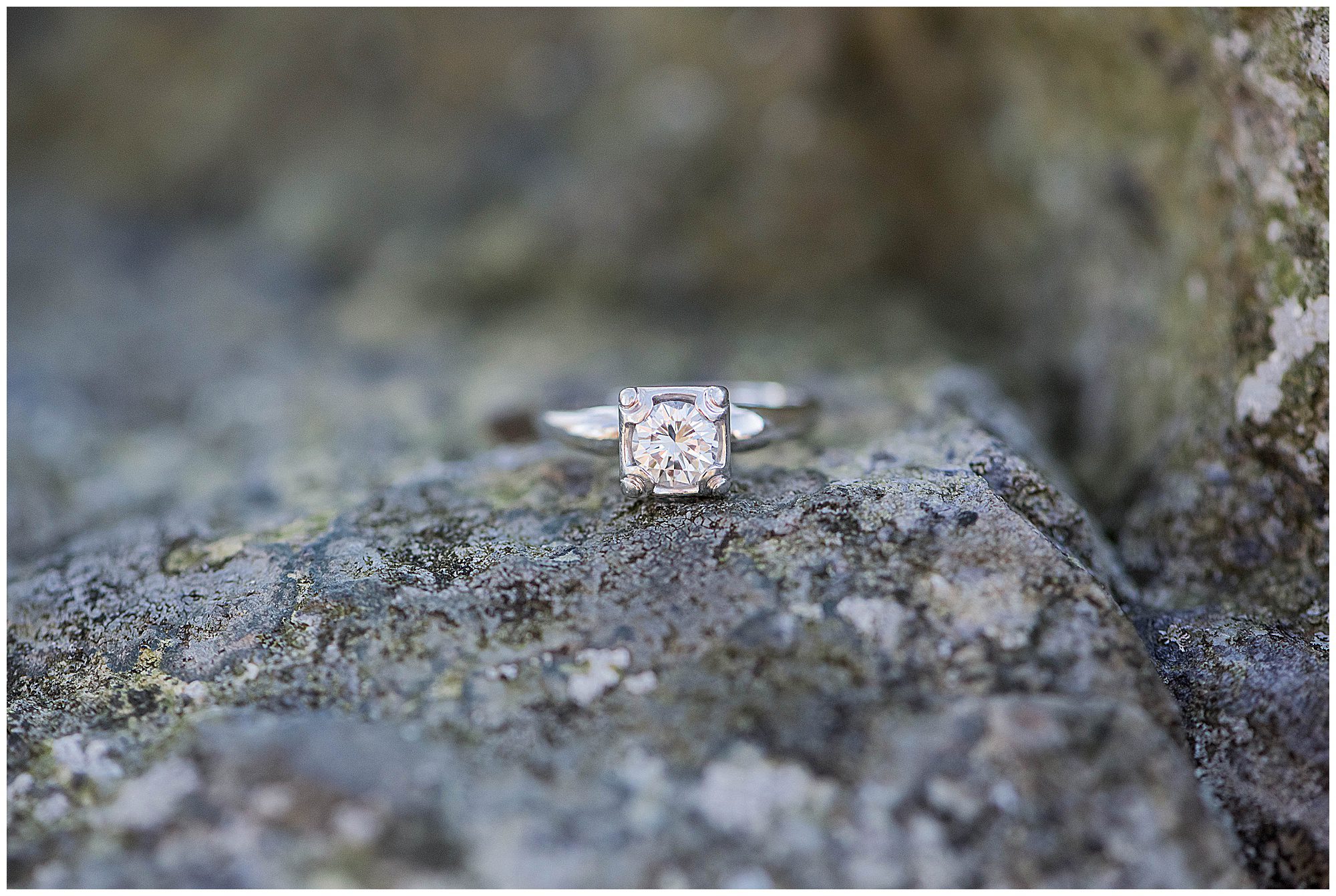 Big Meadows Lodge Skyline Drive Engagement Franzi Lee Photography-0643.jpg