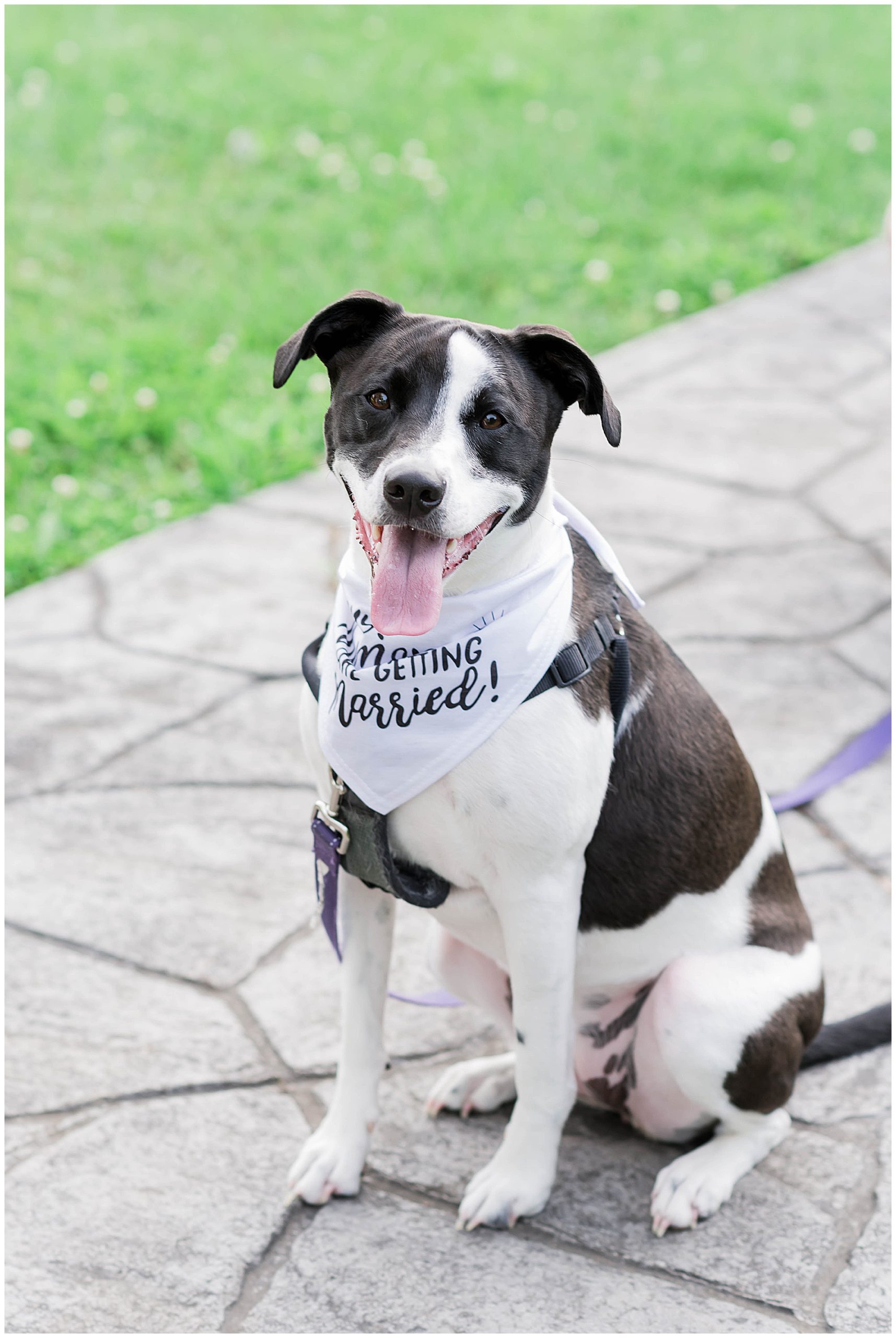 Sherando Park Frederick County Stephens City Virginia Franzi Lee Photography-3548.jpg