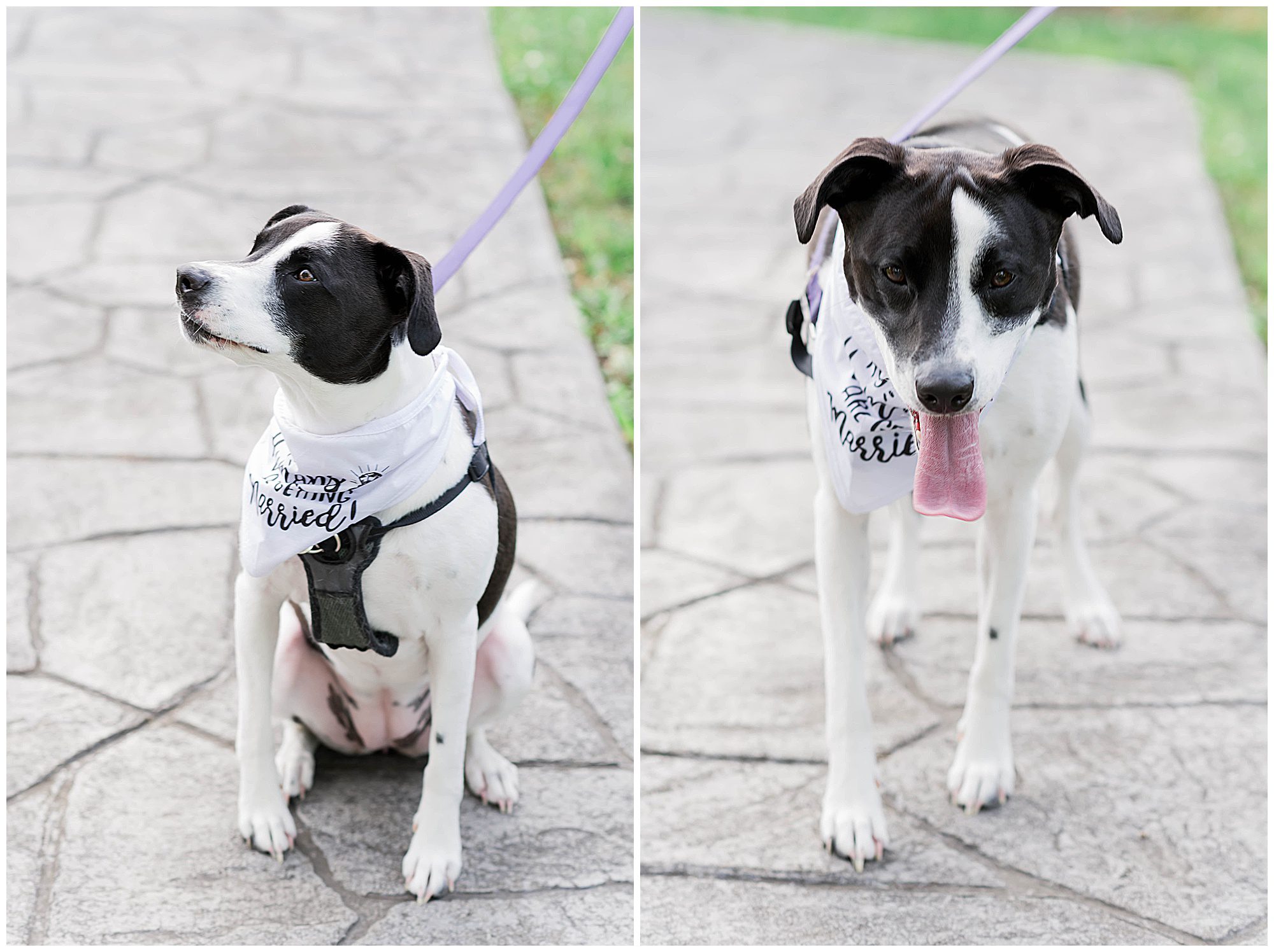 Sherando Park Frederick County Stephens City Virginia Franzi Lee Photography-3554.jpg