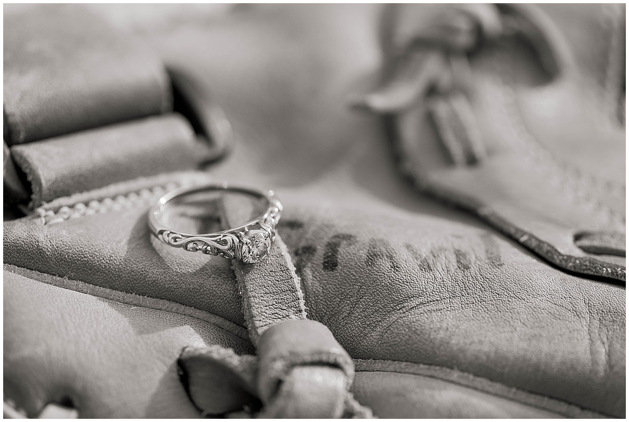 Sherando Park Frederick County Stephens City Virginia Franzi Lee Photography-3693.jpg