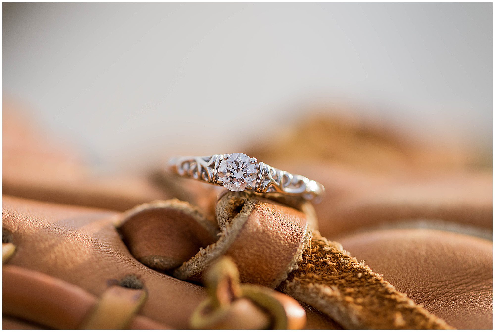 Sherando Park Frederick County Stephens City Virginia Franzi Lee Photography-3703.jpg