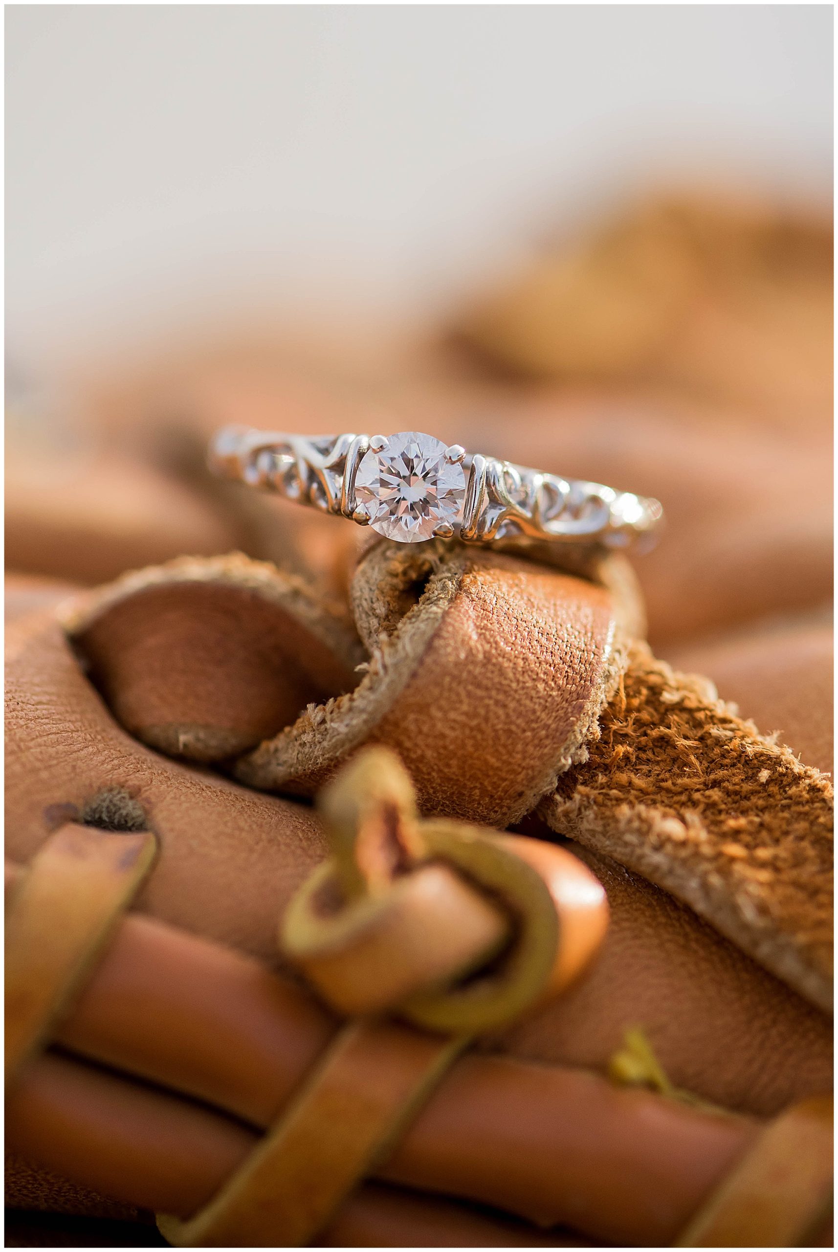 Sherando Park Frederick County Stephens City Virginia Franzi Lee Photography-3708.jpg