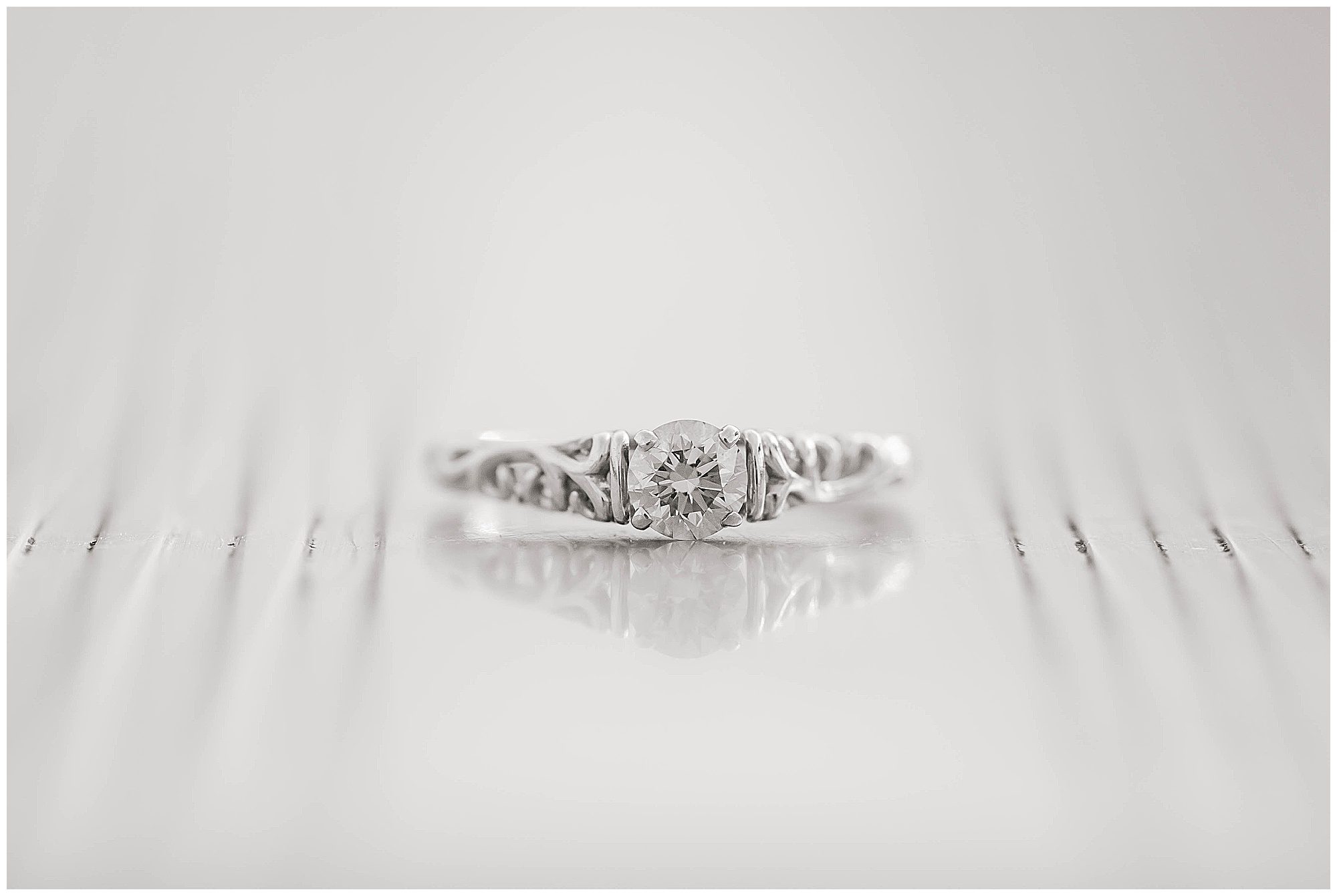 Sherando Park Frederick County Stephens City Virginia Franzi Lee Photography-3736.jpg