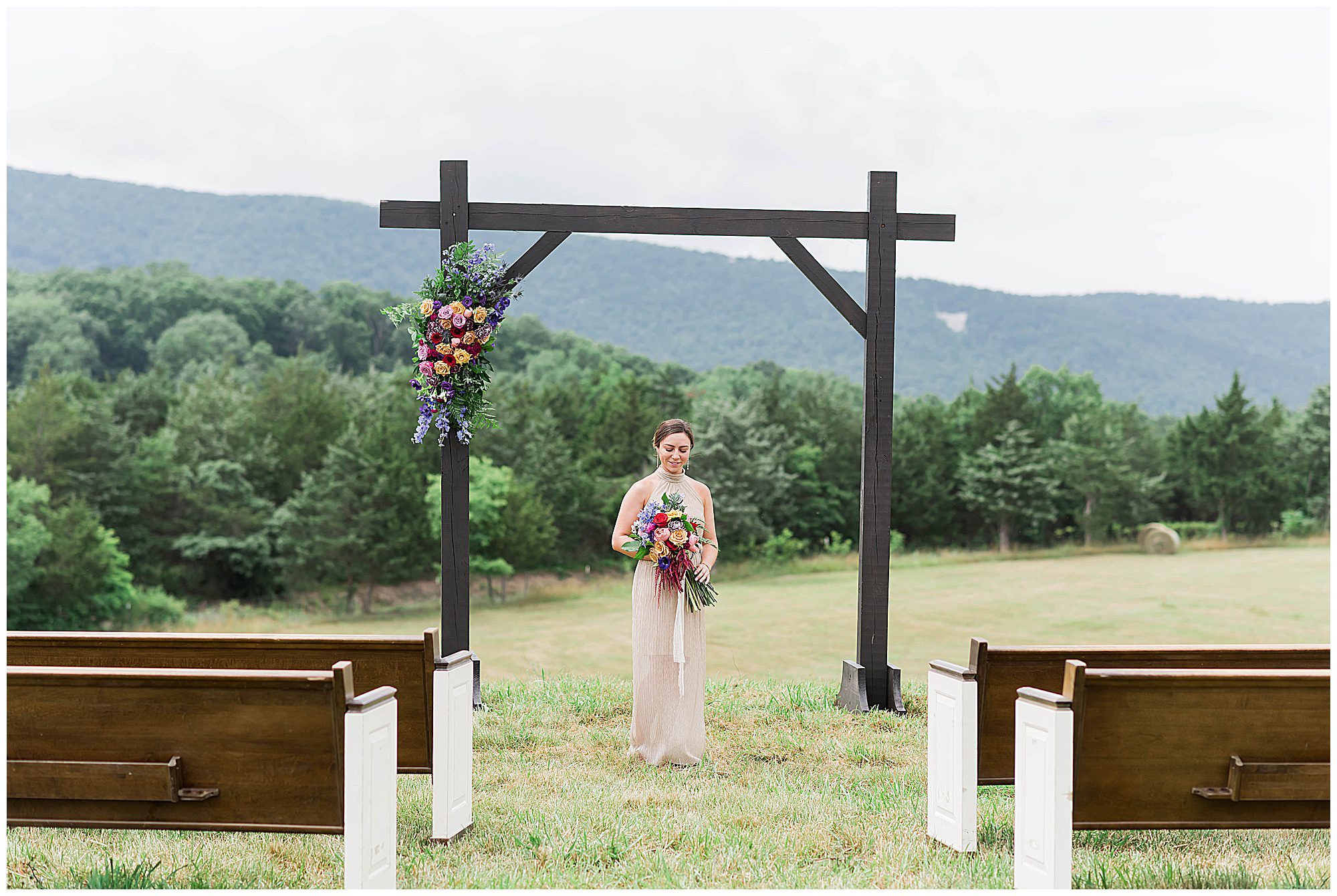 Canaan Spring Farm Wedding Venue Star Tannery Virginia Franzi Lee Photography-5520.jpg