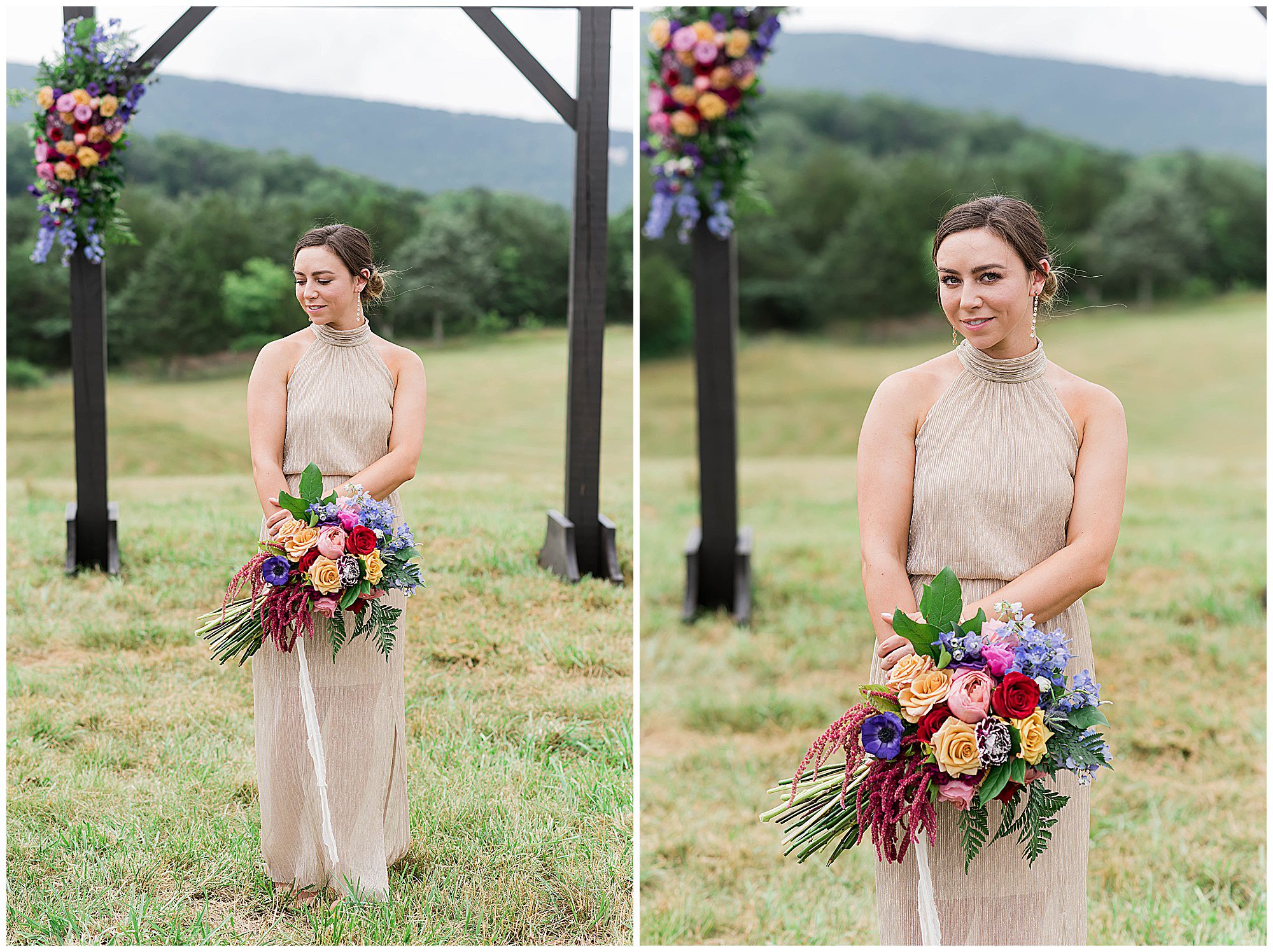 Canaan Spring Farm Wedding Venue Star Tannery Virginia Franzi Lee Photography-5545.jpg