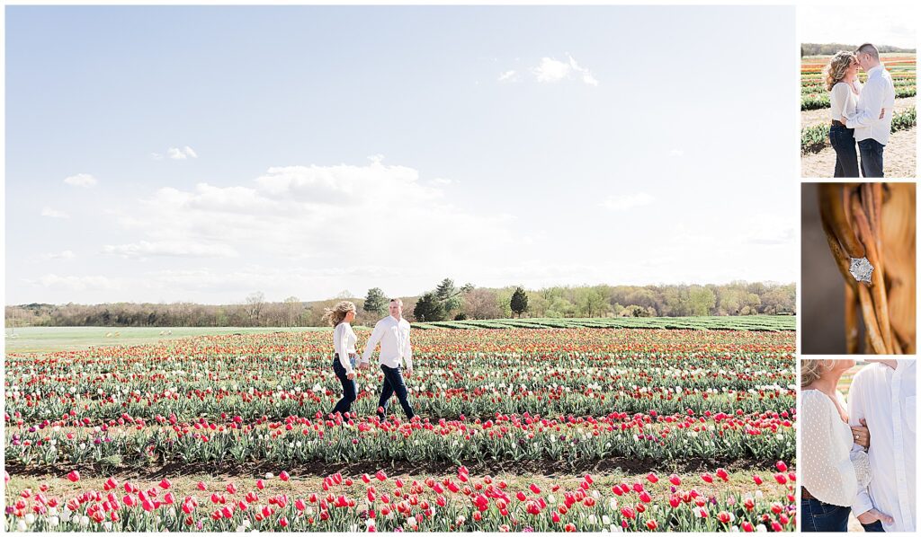 Burnside Farms